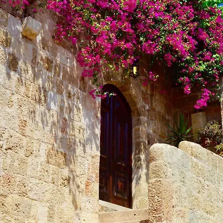 Medieval Villa *